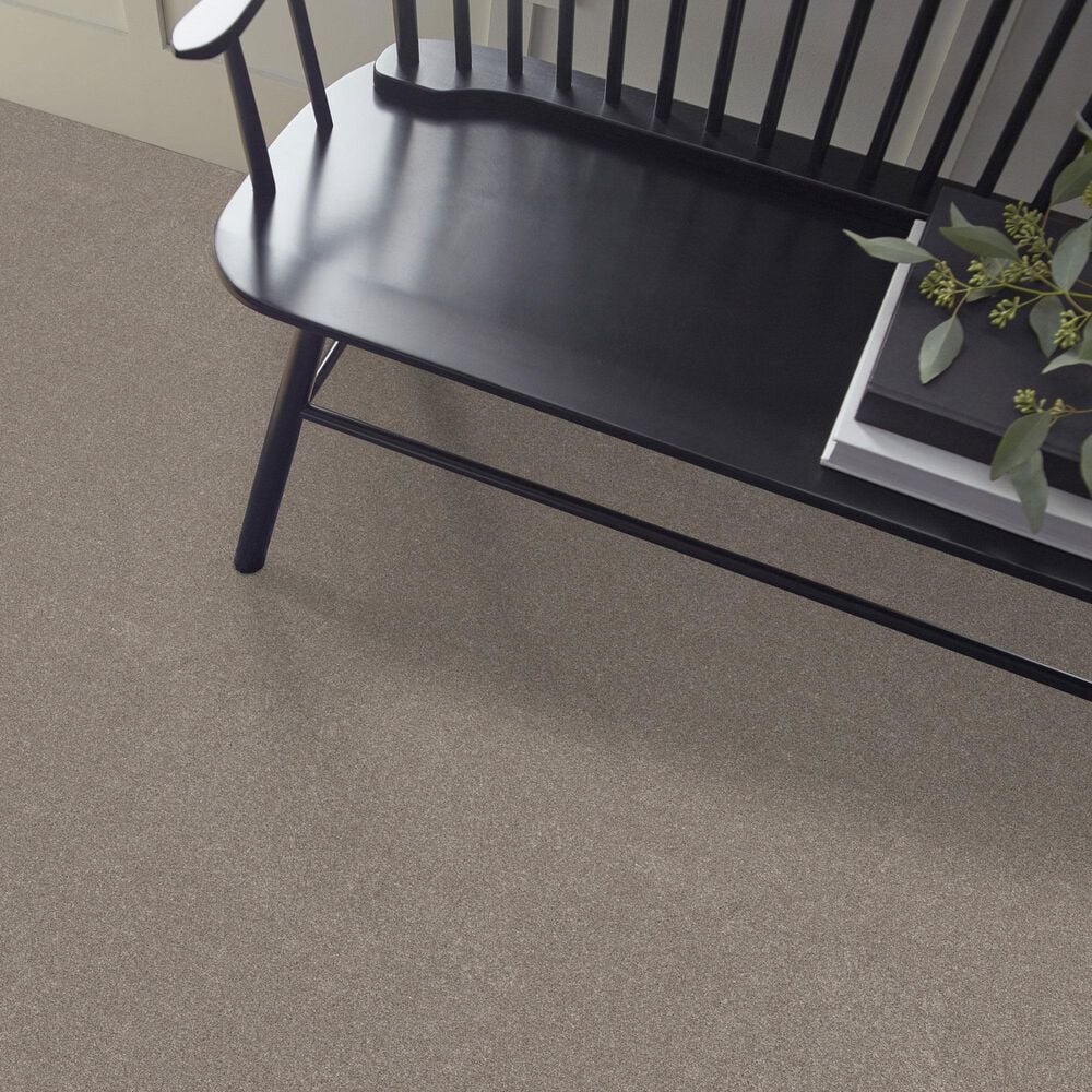 Shaw New Memories T Carpet in Mocha, , large