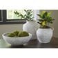 Ashley Meadie 12" Vase in Distressed White, , large