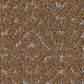 Anderson Tuftex Delight Carpet in Autumn Acorn, , large
