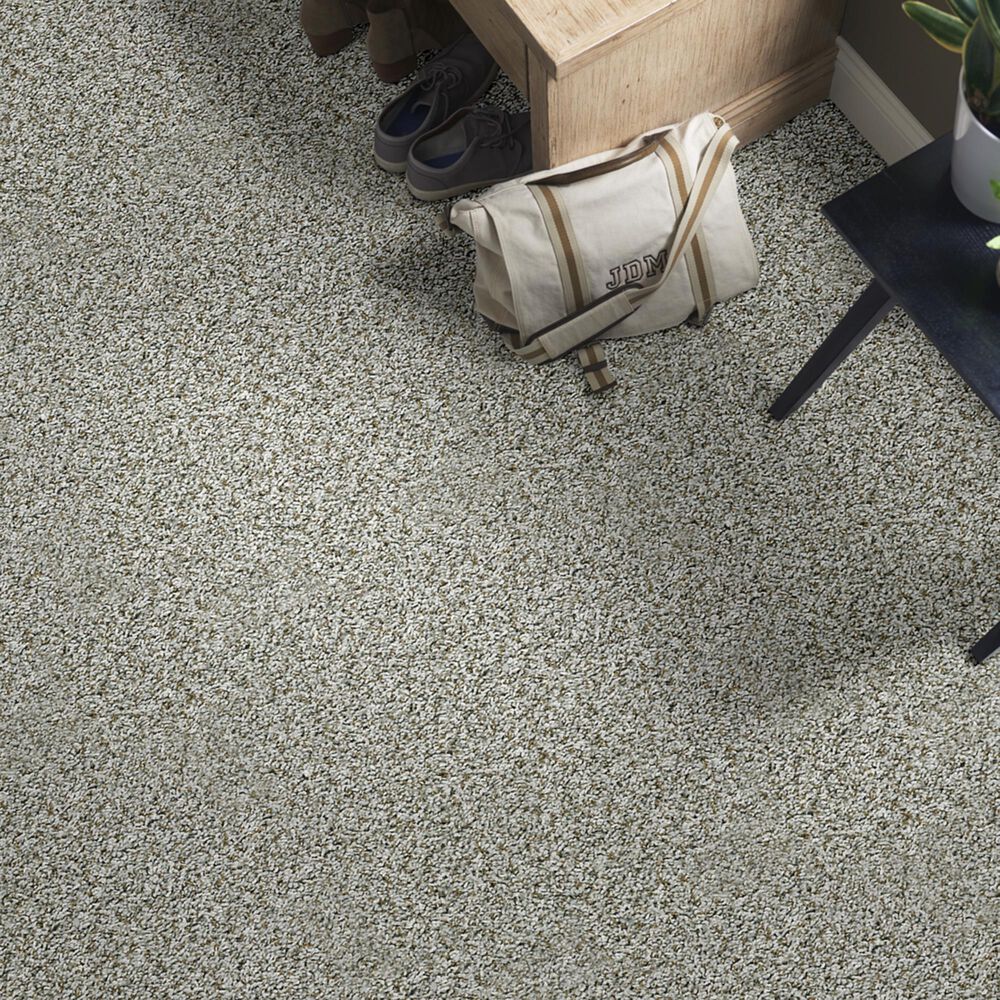 Shaw Break Away Tonal Carpet in Windy City, , large
