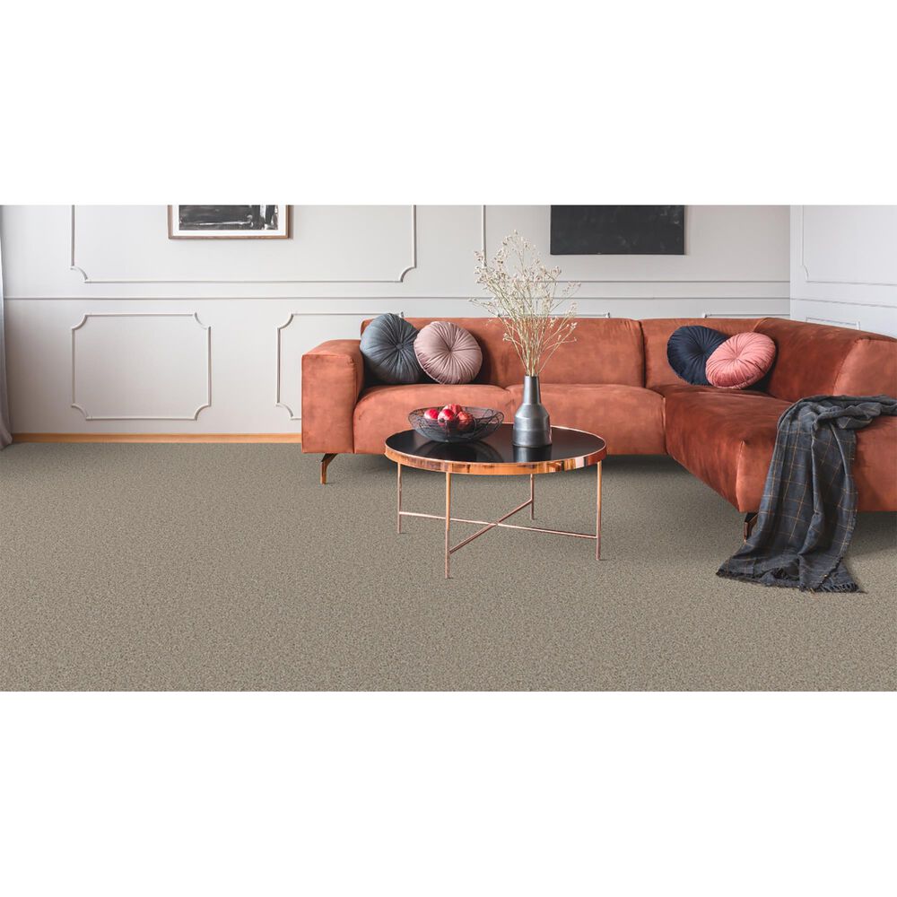 Dixie Home Winding Creek Premier Carpet in Overcast, , large