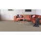 Dixie Home Winding Creek Premier Carpet in Overcast, , large