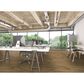 Trinity Hardwood Costa Vasto Oak Hardwood, , large