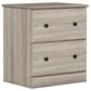 Lemoore Essential 2-Drawer Night Stand in Swedish Grey Elm, , large