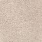Mohawk Windsor Gardens II Carpet in Parchment, , large