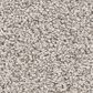 Shaw Grand Influence III Carpet in Fresco, , large