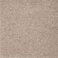 Mohawk Dahlia Harbor Carpet in Soapstone, , large