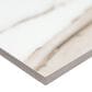 MS International Savoy Crema 24" x 48" Matte Porcelain Tile, , large