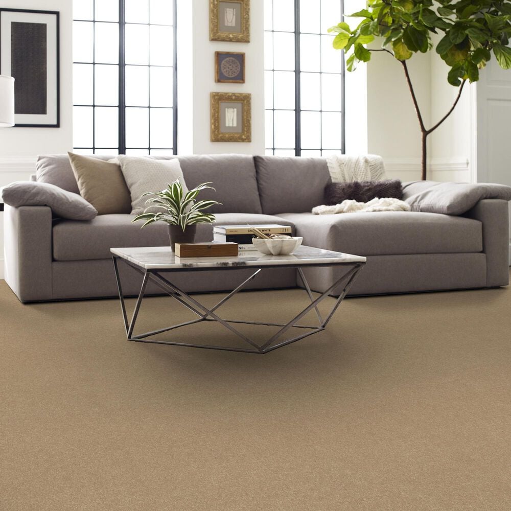 Shaw Easy Spirit I 12&#39; Carpet in Tuscan Sun, , large
