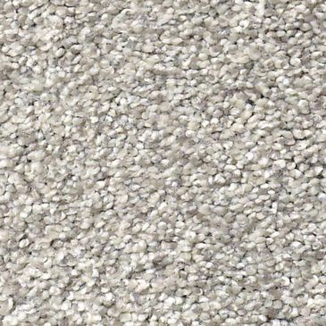 Shaw Tonal Comfort Ii Carpet in Restful Day, , large