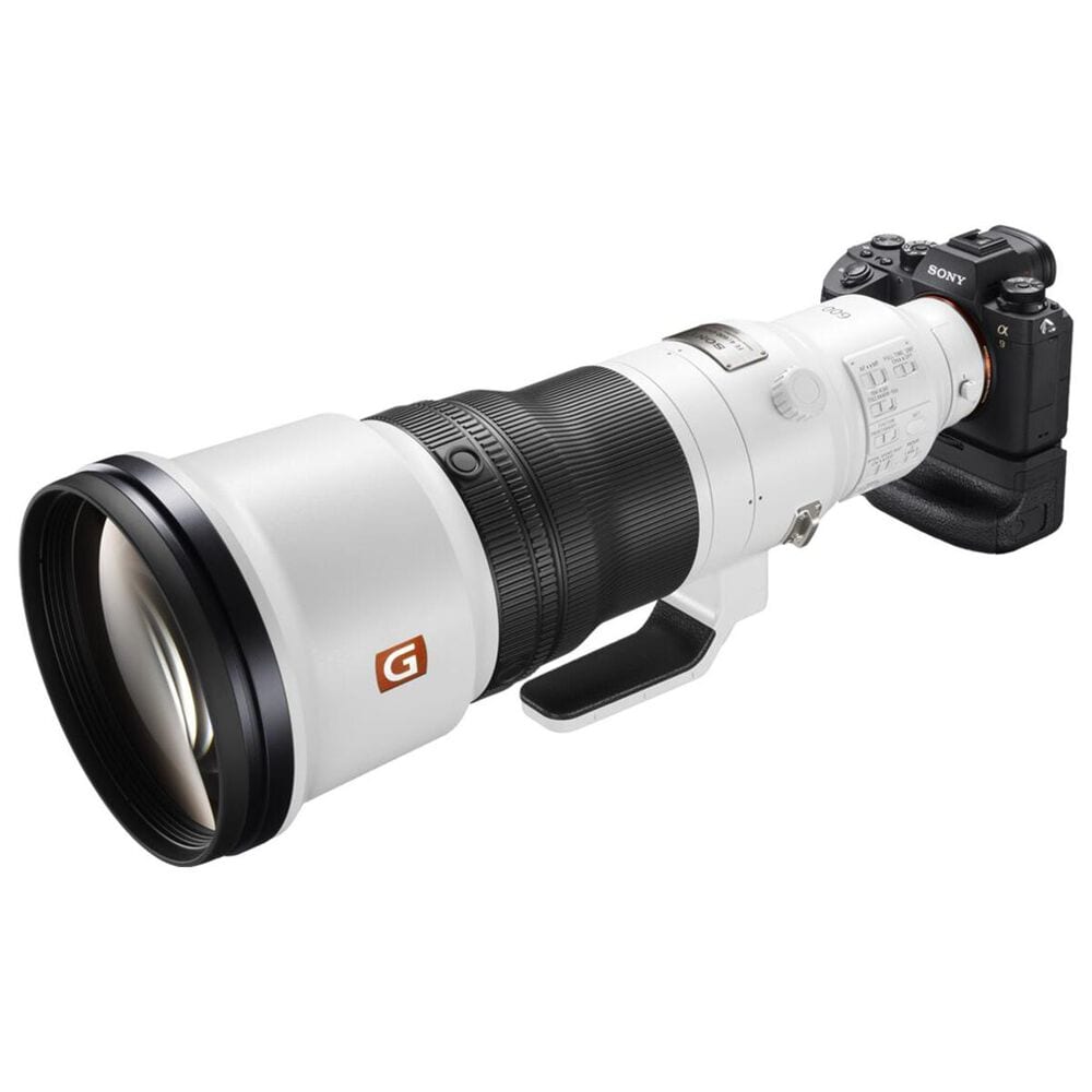 fe 600mm f4 gm