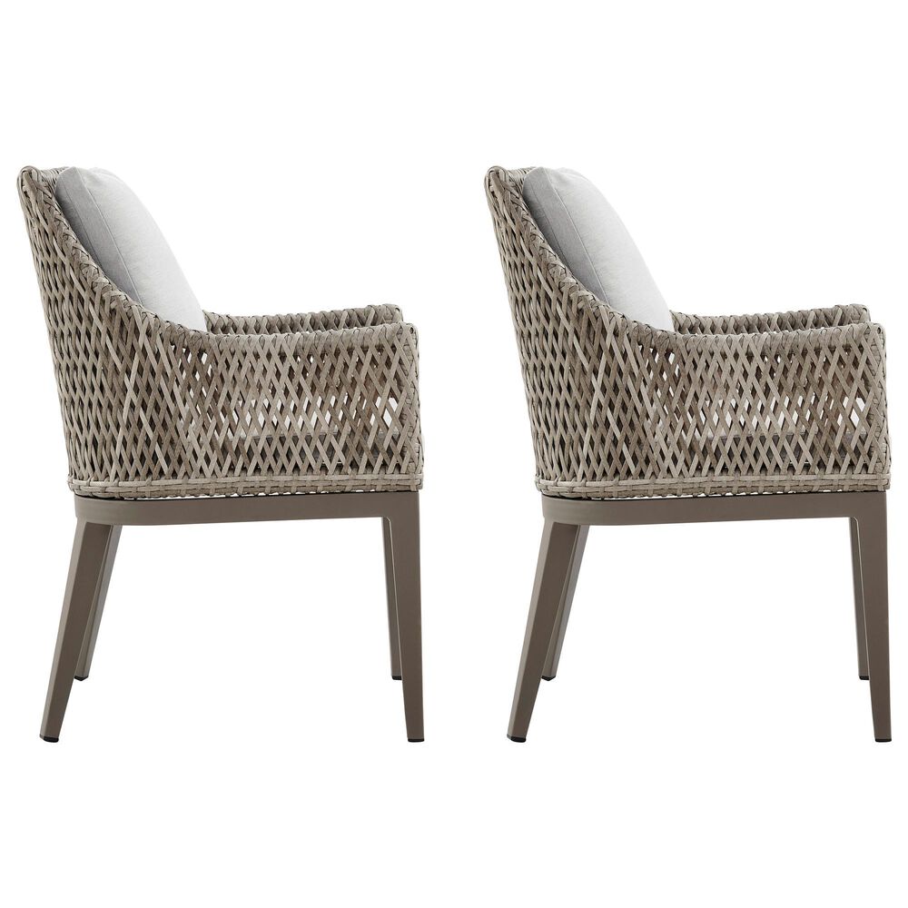 Blue River Grenada Outdoor Dining Chair Beige Cushions in Gray (Set of 2), , large