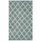 Safavieh Dallas Shag SGD258C-3 3" x 5" Seafoam/Ivory Area Rug, , large