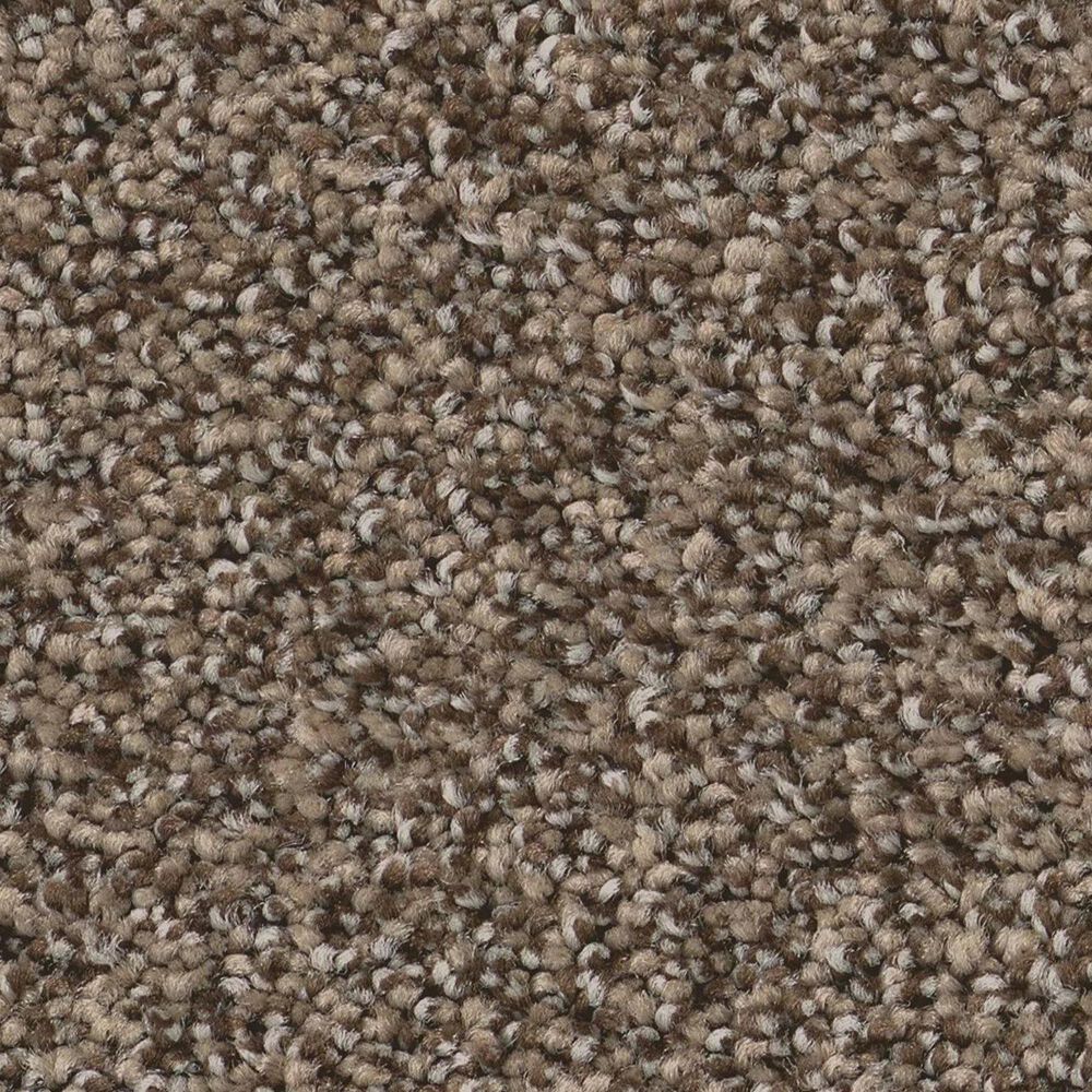 Anderson Tuftex Fabulous Carpet in Smokehouse, , large