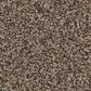 Anderson Tuftex Fabulous Carpet in Smokehouse, , large