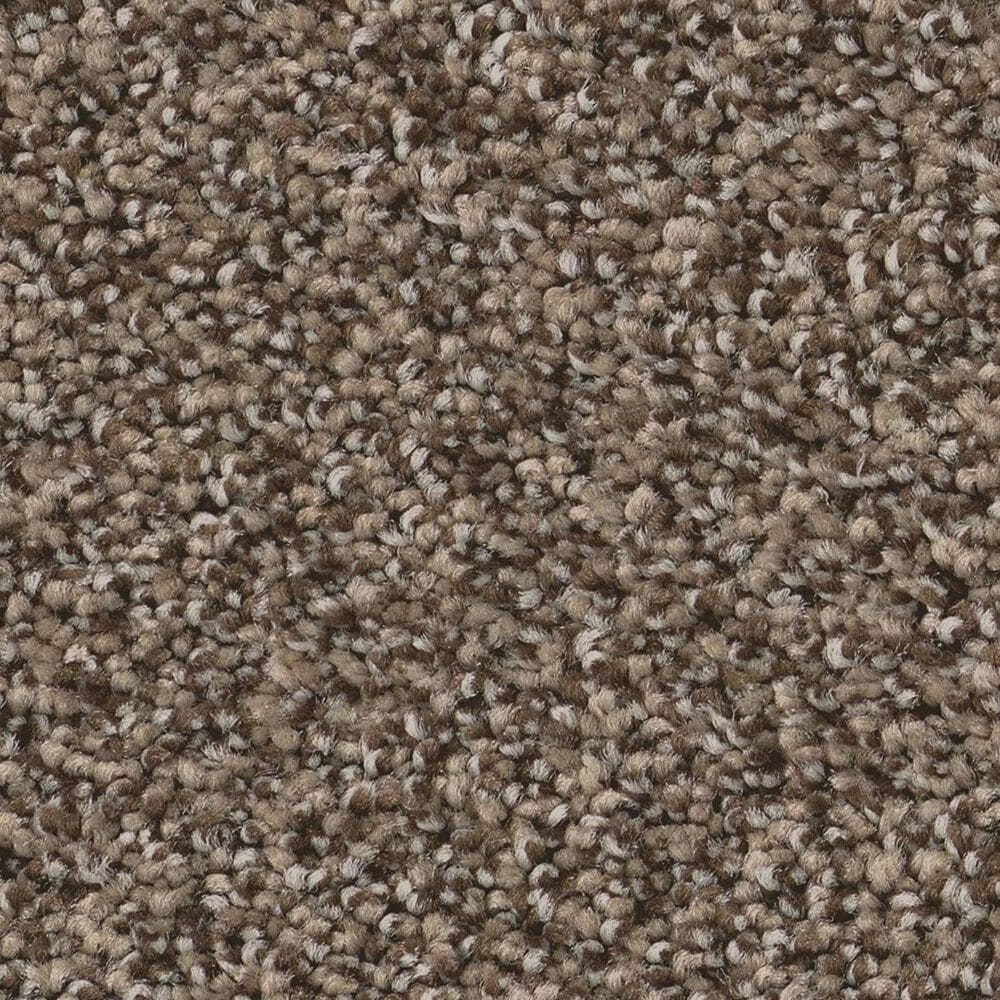 Anderson Tuftex Fabulous Carpet in Smokehouse, , large
