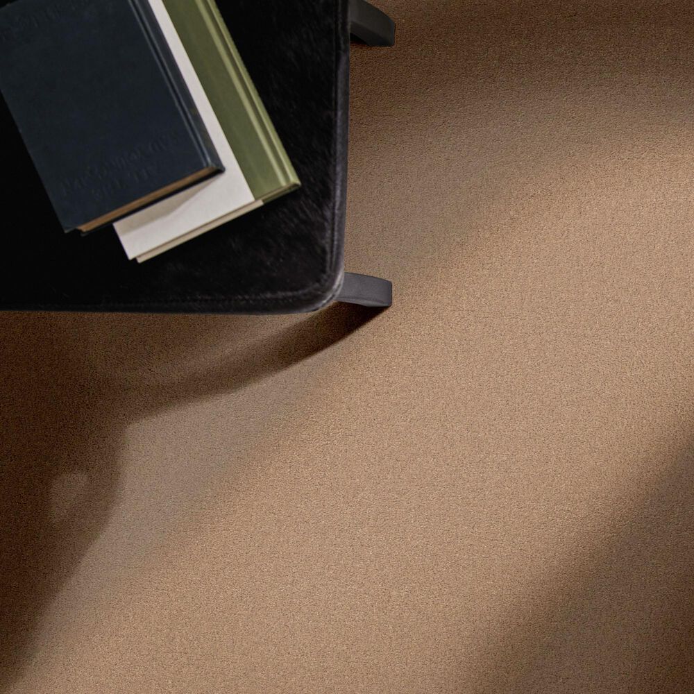 Anderson Tuftex Finery Carpet in Crisp Tan, , large