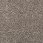 Mohawk Lush Details Carpet in Enchanting, , large