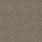 Shaw Bold Move Plus Carpet in Golden Tint, , large