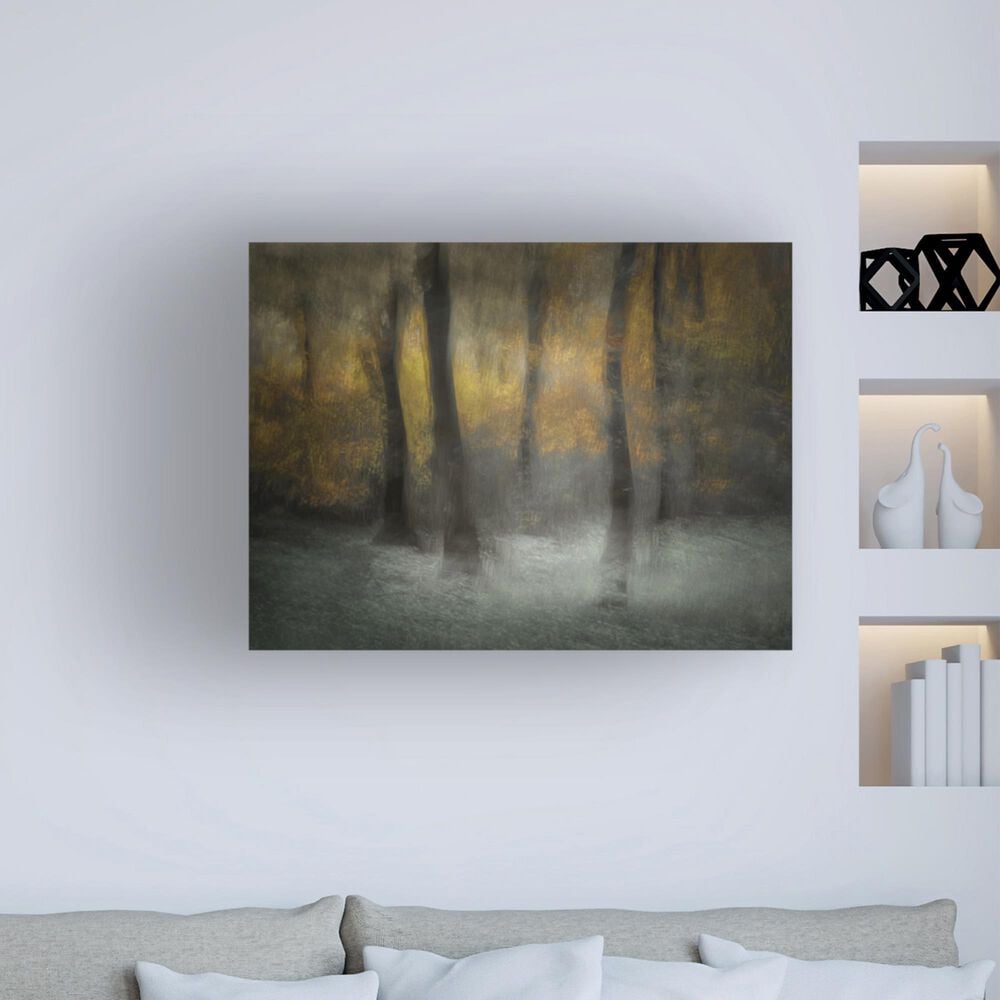 Timberlake Nel Talen 'Dancing Trees' 35" x 47" Canvas Art in Brown/Grey/Black, , large
