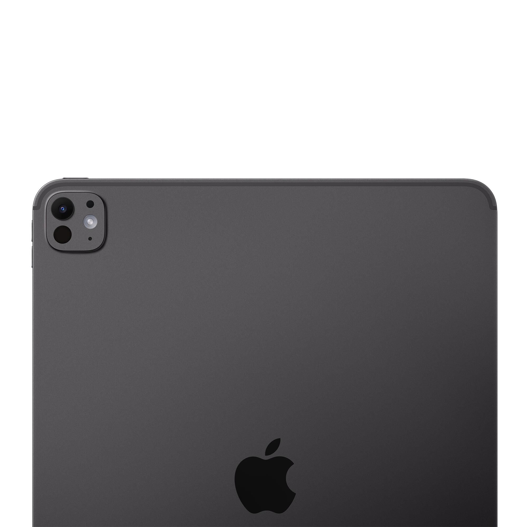 Apple 13