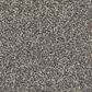 Philadelphia Delicate Feel II Carpet in Shadows, , large