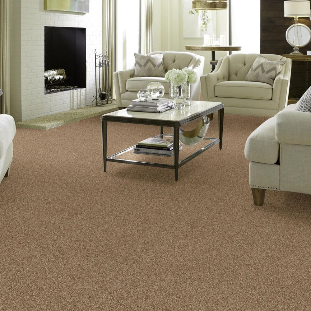 Shaw Detailed Elegance II Carpet in Twig, , large