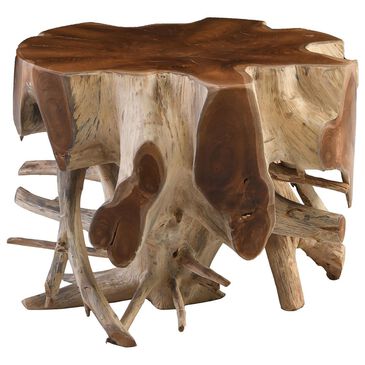 Classic Home Groot End Table in Brown, , large