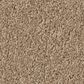 Philadelphia Champagne Taste II Carpet in Canoe, , large