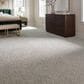 Mohawk Refined Retrievers II Carpet Pebble Trail, , large