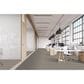 Masland Hawkshaw Carpet in Scooby, , large