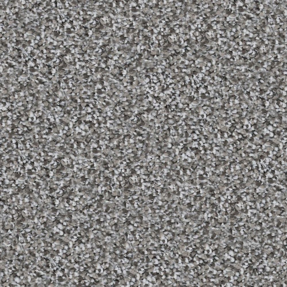 Revolution Mills Rainier Carpet in Gondola NFM