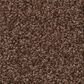 Shaw Tonal Comfort Blue Carpet in Chili, , large