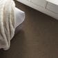 Shaw Hard At Play I Carpet in Mission Ridge, , large