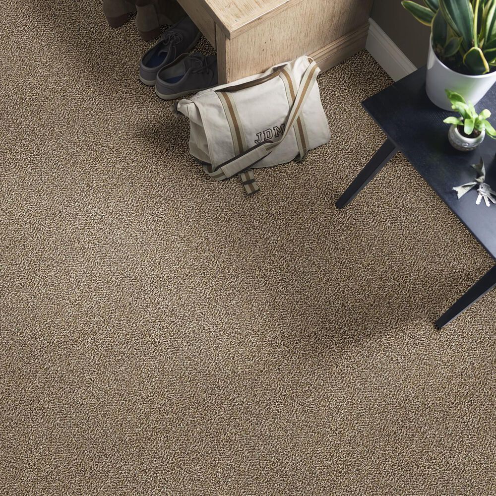 Shaw Simply the Best All About It Carpet in Honey Bear, , large