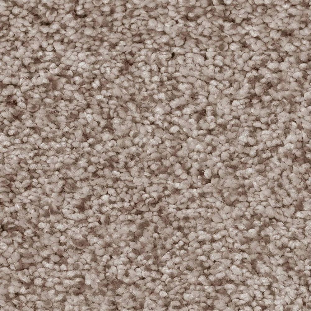Anderson Tuftex Sumptuous II Carpet in Earthen, , large