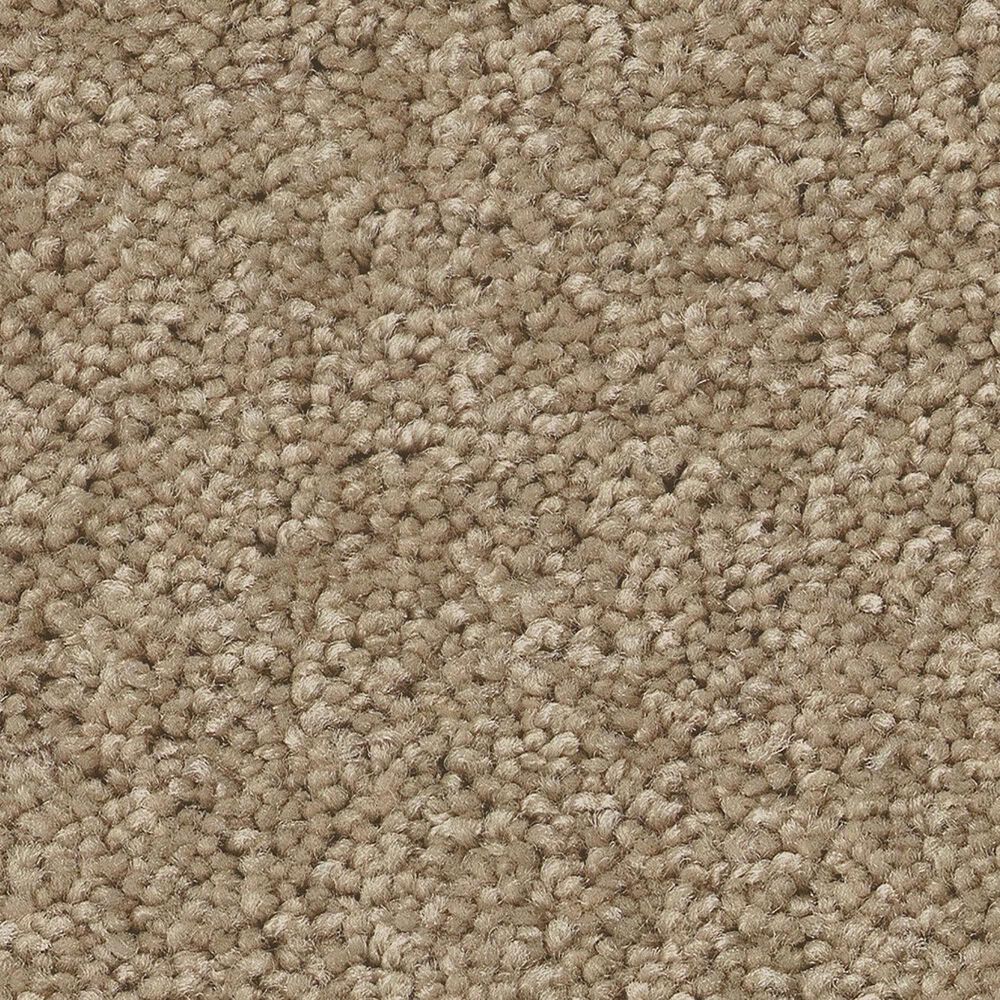 Shaw Las Cruces Carpet in Hickory, , large
