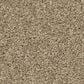 Shaw Las Cruces Carpet in Hickory, , large