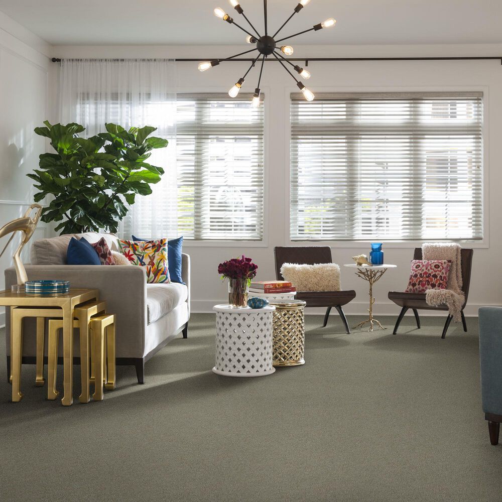 Shaw Simply the Best Attainable Carpet in Winter Dunes, , large