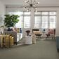 Shaw Simply the Best Attainable Carpet in Winter Dunes, , large
