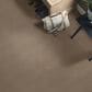 Shaw Detailed Elegance Patterned Carpet in Flax, , large
