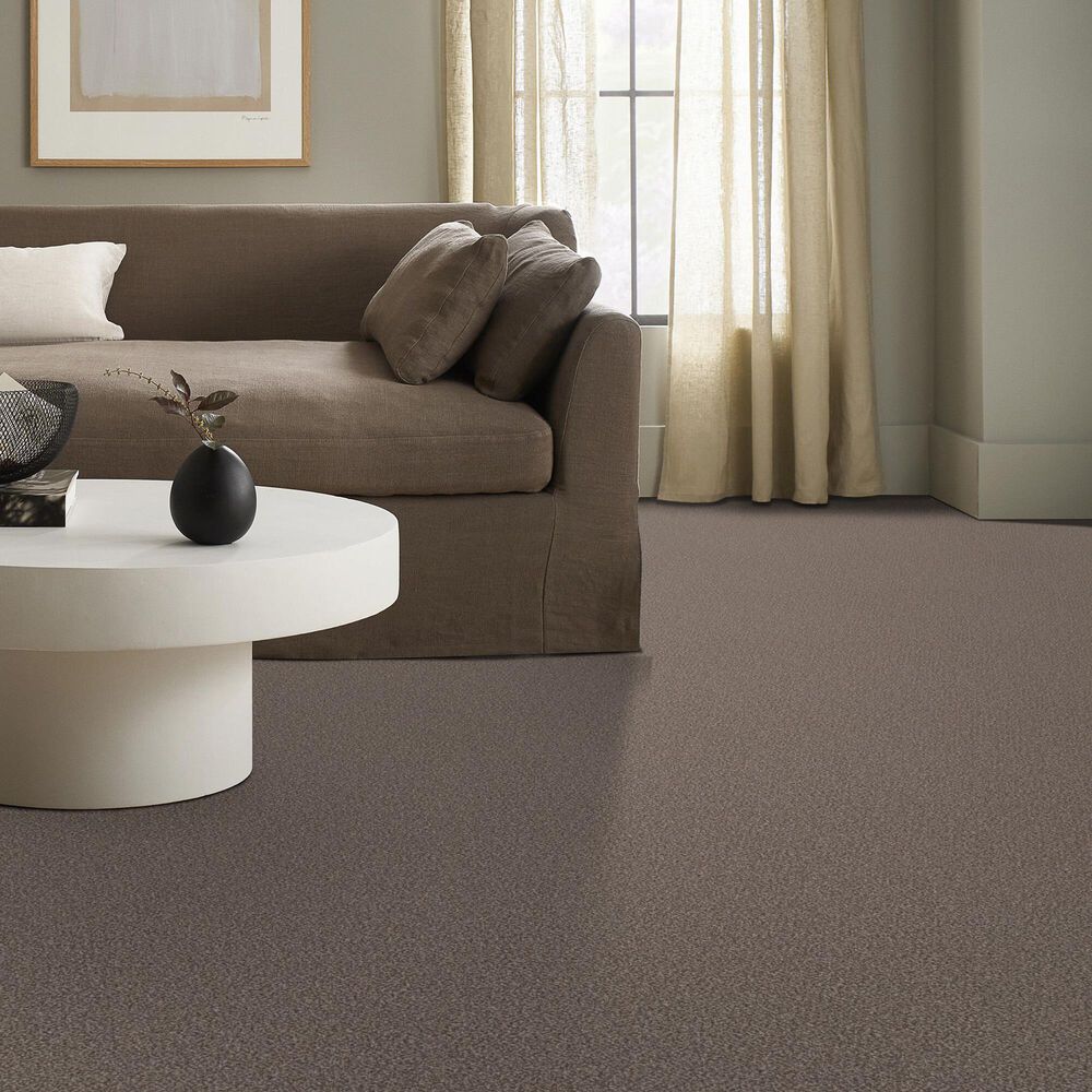 Shaw Truspirit Ii Carpet in Cobble Drive, , large