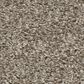 Shaw Grand Outlook Carpet in Cameo, , large