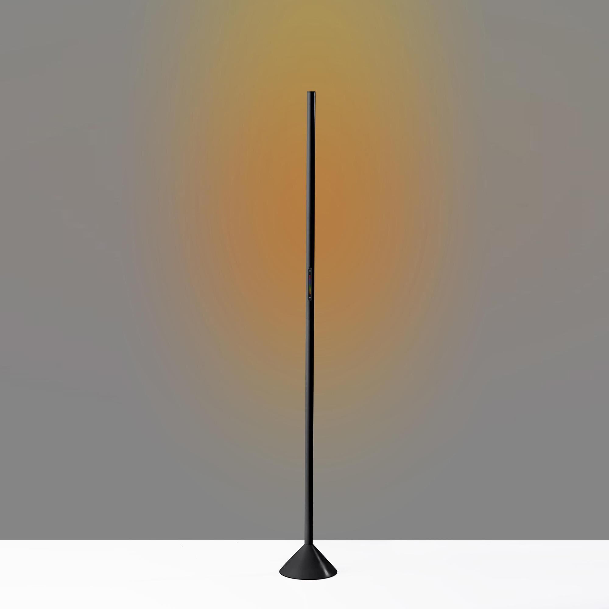 Adesso Cole Color Changing LED Floor Lamp in Black NFM