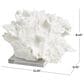 Maple and Jade Coral Decorative Sculpture in Textured White and Clear, , large