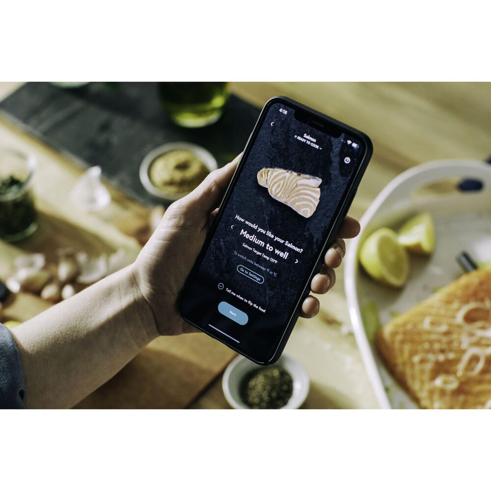 Yummly Smart Bluetooth Meat Thermometer in Graphite | Nebraska