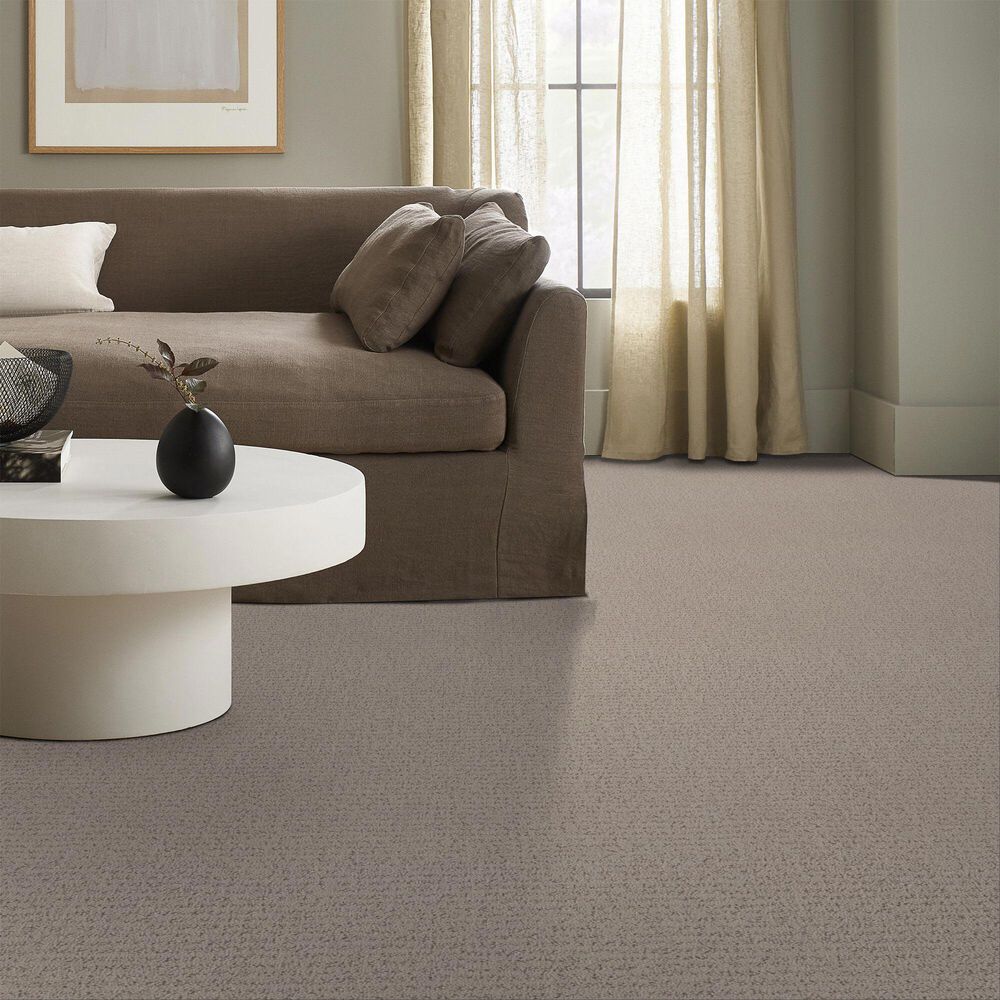 Anderson Tuftex Tangent Carpet in Pebble Bath, , large