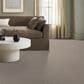 Anderson Tuftex Tangent Carpet in Pebble Bath, , large