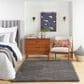 Nourison Dreamy Shag Solid 6"7" x 9"2" Grey Area Rug, , large