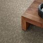 Anderson Tuftex Paw-Tay Carpet in Cloud Cover, , large